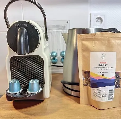 Apartament Le Petit Ramblas - En Hypercentre Tuluza